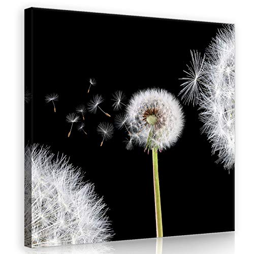 Forwall Leinwandbild Bilder Pusteblume 40cm x 40cm - Kunstdruck modern Wandbilder XXL Wanddekoration Design Wand Bild - Blumen Natur grau Pusteblumen 10165O5 von Leinwandbild Consalnet