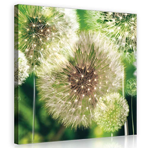 Forwall Leinwandbild Bilder Pusteblume 40cm x 40cm - Kunstdruck modern Wandbilder XXL Wanddekoration Design Wand Bild - Blumen Natur grau Pusteblumen 10221O5 von Leinwandbild Consalnet