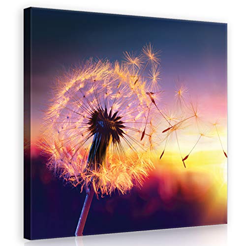 Forwall Leinwandbild Bilder Pusteblume 40cm x 40cm - Kunstdruck modern Wandbilder XXL Wanddekoration Design Wand Bild - Blumen Natur grau Pusteblumen 11416O5 von Leinwandbild Consalnet