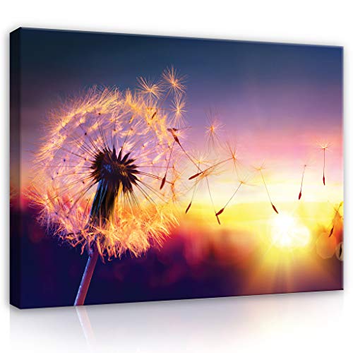 Forwall Leinwandbild Bilder Pusteblume 80cm x 60cm - Kunstdruck modern Wandbilder XXL Wanddekoration Design Wand Bild - Blumen Natur grau Pusteblumen 11416O6 von Leinwandbild Consalnet