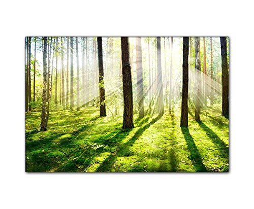 Handgefertigtes Leinwandbild 120x80cm mit Naturmotiv Sonnenstrahlen im Wald. Der Frühlings kommt bald. Bild geliefert auf Holzrahmen direkt zum Aufhängen! von Leinwandparadies