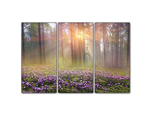 Leinwandbild Krokus im Wald Lavendel - Fabend. Wandbild auf Keilrahmen. Beste Qualität aus Deutschland! Handgefertigt! 3x40x80cm von Leinwandparadies