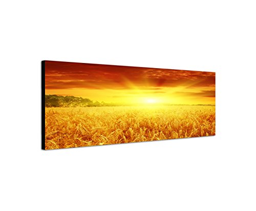 Wandbild auf Leinwand als Panorama in 150x50cm Kornfeld Sonnenuntergang Spätsommer von Leinwandparadies