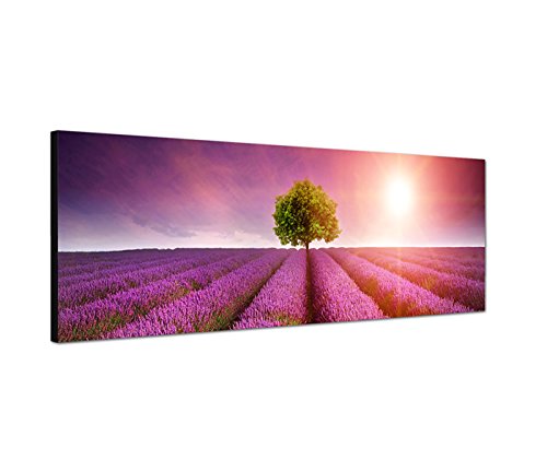 Wandbild auf Leinwand als Panorama in 150x50cm Lavendelfeld Baum Sommer Sonnenuntergang von Leinwandparadies