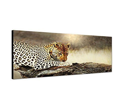 Wandbild auf Leinwand als Panorama in 150x50cm Leopard Baumstamm Afrika Wildnis Wandbild auf Leinwand als Panorama in 150x50cm Leopard Baumstamm Afrika Wildnis von Leinwandparadies