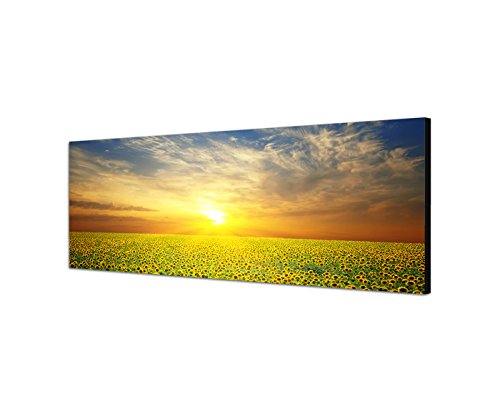 Wandbild auf Leinwand als Panorama in 150x50cm Sonnenblumenfeld Sonne Sommer von Leinwandparadies