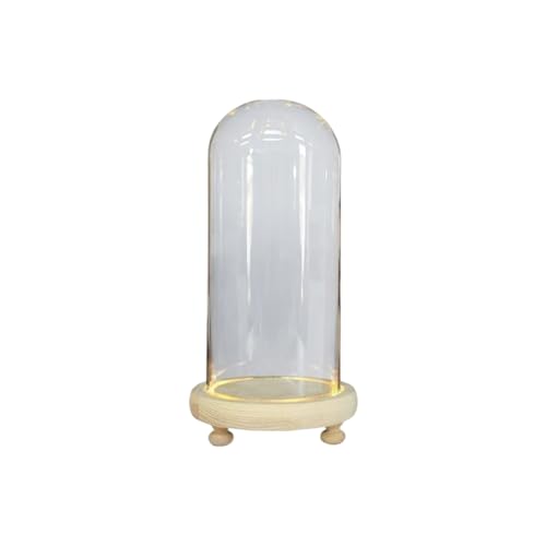 Home Office Glaskuppel Tisch Schreibtisch Regal Nachttisch beleuchtete trockene Blumenvase Figur Display Flasche Glas Geburtstagsgeschenk 9 x 20 cm von Leisurealeaneag