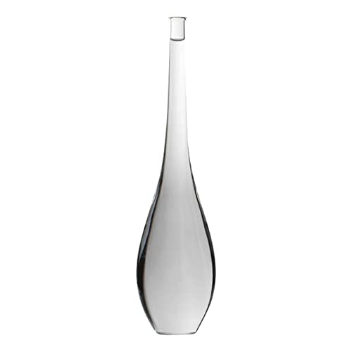 Moderne Glasvase Blumenvasen Blumenvase für Dekor Zubehör 27cmx4cm, Transparent, 27x4cm von Leisurealeaneag