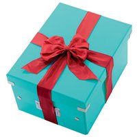 LEITZ Aufbewahrungsbox 7,4 l - 21,6 x 28,2 x 16,0 cm eisblau von Leitz