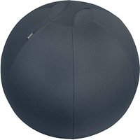 LEITZ Ergo Cosy Sitzball grau 65,0 cm von Leitz