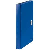 LEITZ Fächermappe recycle 4624 5 Fächer blau LEITZ Fächermappe recycle 4624 5 Fächer blau von Leitz