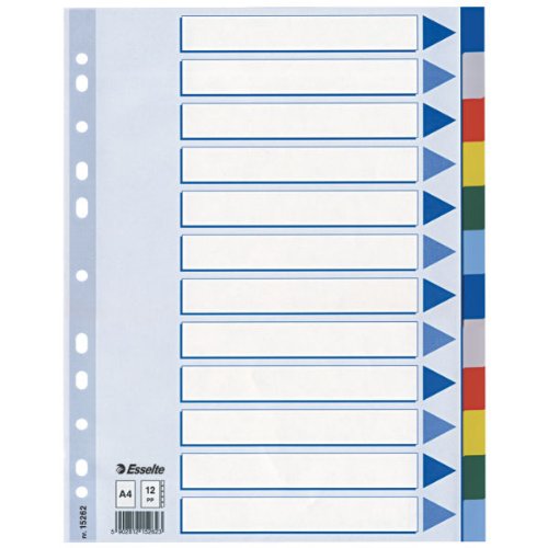 Leitz 15262 Plastikregister, A4, Polyproplyen, 12 Blatt mit farbigen Taben, hellblau (10er Pack) von Leitz