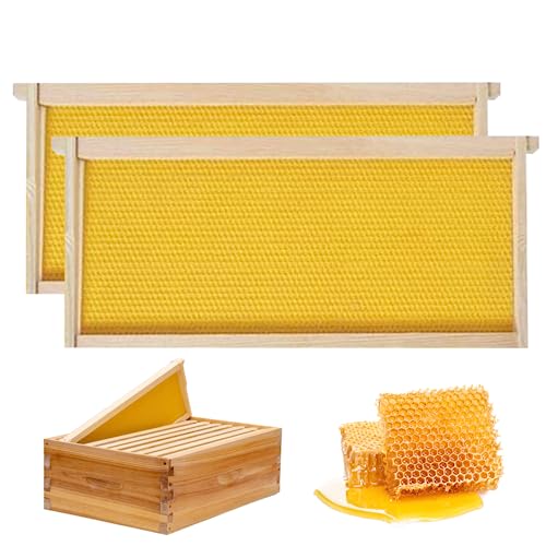 LejeMaek Bee Hive Frames and Wax Foundations 2Pcs 19.02x9.13x0.79 inch. Square Bee Frames with Wax Foundation Wood Beehive Frames Yellow Bee Frames with Wax Foundation LejeMaek Bee Hive Frames and Wax Foundations 2Pcs 19.02x9.13x0.79 inch. Square Bee Frames with Wax Foundation Wood Beehive Frames Yellow Bee Frames with Wax Foundation von LejeMaek