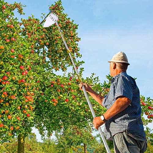 LekLai Obstpflücker, Apfelpflücker Mit Teleskopstiel, Verbindungsstange Aus Edelstahl, Metallklemme/Gold/5M(16Ft) von LekLai