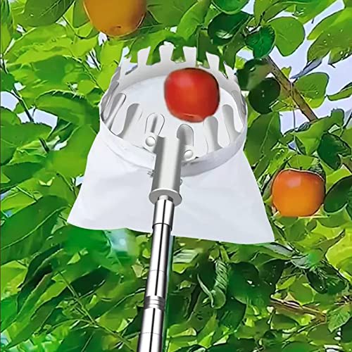 LekLai Teleskop-Obstpflücker-Werkzeug, Apfelpflücker-Obstpflückerkorb Mit Ausziehbarer Teleskopstange Für Kirschbeeren-Orangen-Zitronen-Birnen-Erntemaschine,A,6M/19.7Ft/B/2.1M/6.8Ft von LekLai