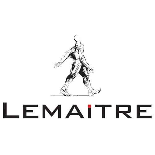 Lemaitre SMAXS10NR, SMARTFOX Niedrige S1 Sicherheitsschuhe, Schwarz, Größe 38 von Lemaitre
