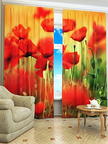 Lemare 2-Set Deko-Vorhänge Digitaldruck | Dicker Vorhang Blickdicht mit Ösen | Verdunklungsvorhang | Fenstervorhang für Wohnzimmer Schlafzimmer Blumen Blüte Wiese Wald Städte 2 STK. 145x260 cm von Lemare