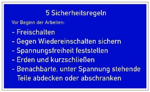 LEMAX® Aushang, 5 Sicherheitsregeln - deutsch Alu geprägt 200x120mm von LEMAX
