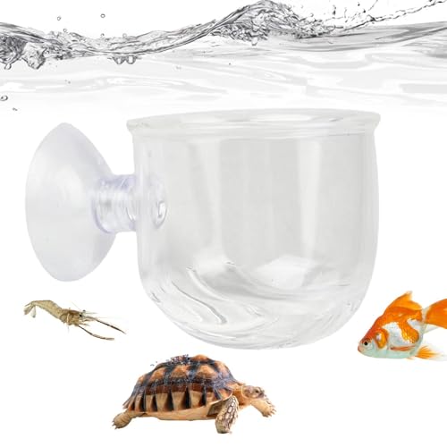 Lembeauty Aquarium Live Red Worm Feeder, Aquarium Blutwurm Feeder | Fischfutterbecher mit Saugnapf | Pflanzenbecher aus Glas für lebende Pflanzen, Fischfutterspender mit starker Saugkraft für von Lembeauty
