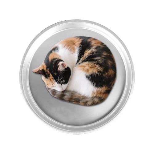 Lembeauty Hundekühlbett,39,9 cm Aluminium Kühlbett für Haustiere - Waschbares rutschfestes Haustierhaus für Innen Außen Sommer Reise Lembeauty Hundekühlbett,39,9 cm Aluminium Kühlbett für Haustiere - Waschbares rutschfestes Haustierhaus für Innen Außen Sommer Reise von Lembeauty