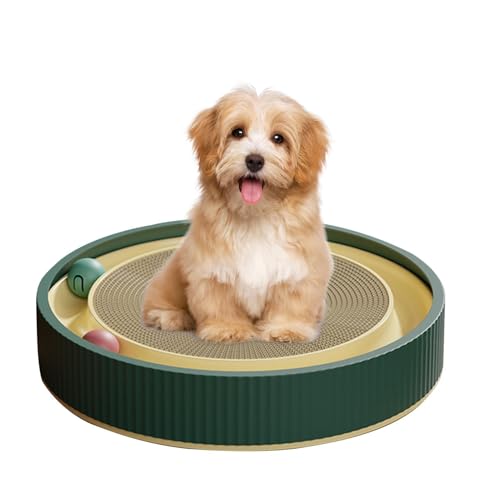 Lembeauty Katzen-Kratzunterlage | Cat Scratcher Pad mit interaktiven Spinnbällen für aktives Spielen,Kratzspielzeug für Indoor-Katzen, interaktives Kätzchen-Spaß-Puzzle-Spielzeug für geistige Lembeauty Katzen-Kratzunterlage | Cat Scratcher Pad mit interaktiven Spinnbällen für aktives Spielen,Kratzspielzeug für Indoor-Katzen, interaktives Kätzchen-Spaß-Puzzle-Spielzeug für geistige von Lembeauty