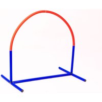 Hoopers Agility 2er Set, Hundetraining, Hundesport, blau/orange von Lemodo