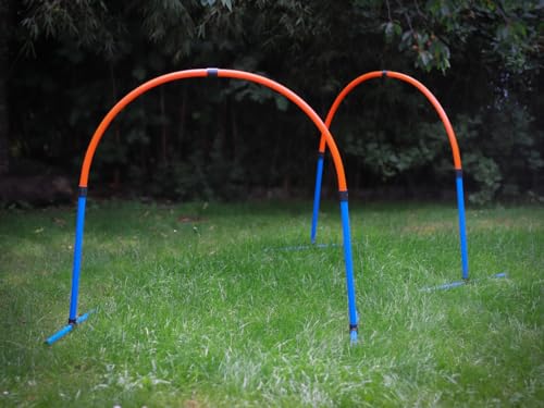 Lemodo Hoopers Set mit 2 Bögen, Agility Set, Steckhürden-Set mit Tasche, Hundesport, Hundetraining von Lemodo