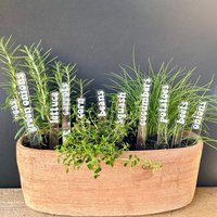 Retro Acryl Gartenstecker, Gemüse Pflanzenstecker, Garten Geschenk Retro Acryl Gartenstecker, Gemüse Pflanzenstecker, Garten Geschenk von LemonStudioEngraving