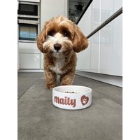 Hundenapf Hund Hundeliebe Katzennapf Katze Individuell Geschenkidee von Lenasschilderwald