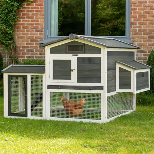 Lendo Online Hühnerstall aus imprägniertem Fichtenholz mit Nachtstall und Lauf - 151x69x92cm - Kleintiere - Kaninchenstall - Hühnerstall - Indoor & Outdoor - Asphaltdach - Wetterfest Grau Lendo Online Hühnerstall aus imprägniertem Fichtenholz mit Nachtstall und Lauf - 151x69x92cm - Kleintiere - Kaninchenstall - Hühnerstall - Indoor & Outdoor - Asphaltdach - Wetterfest Grau von Lendo Online