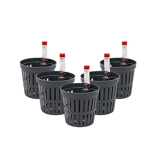 Leni Kulturtopf mit Wasserstandsanzeiger (5er-Pack, Ø: 5cm | H: 5cm) von Leni