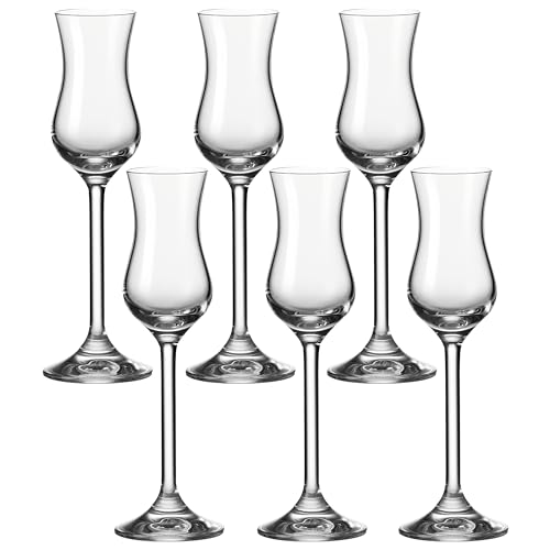 LEONARDO HOME Daily, robuste Schnaps Grappa geeignet, Gläser-Set mit 100-ml Nutzinhalt, 6-teilig, 6 Stück (1er Pack), 6 von LEONARDO HOME