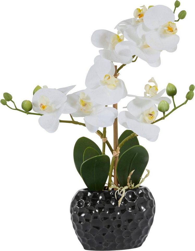 Kunstpflanze Orchidee Orchidee, Leonique, Höhe 38 cm, Kunstorchidee, im Topf von Leonique