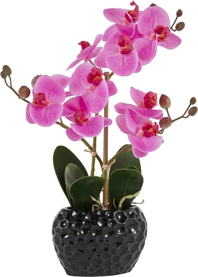 Kunstpflanze Orchidee Orchidee, Leonique, Höhe 38 cm, Kunstorchidee, im Topf von Leonique