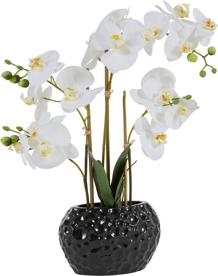 Kunstpflanze Orchidee Orchidee, Leonique, Höhe 55 cm, Kunstorchidee, im Topf von Leonique