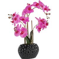 Leonique Kunstpflanze "Orchidee" von Leonique