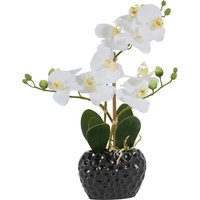 Leonique Kunstpflanze "Orchidee" Kunstorchidee, im Topf, Bestseller, über 2500 4,5-Sterne-Bewertungen von Leonique