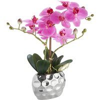 Leonique Kunstpflanze "Orchidee" Kunstorchidee, im Topf, Bestseller, über 2500 4,5-Sterne-Bewertungen Leonique Kunstpflanze "Orchidee" Kunstorchidee, im Topf, Bestseller, über 2500 4,5-Sterne-Bewertungen von Leonique