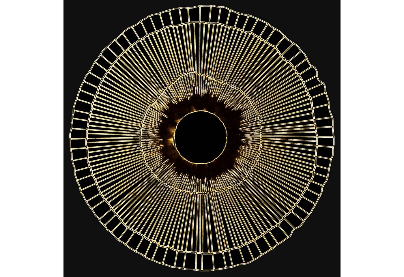 Leonique Leinwandbild Das Auge, Abstrakt (1 St), Akustikbild mit sehr guten Schallabsorptions-Eigenschaften von Leonique