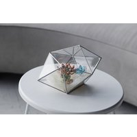 Sukkulenten Terrarium Kleine Seltsame Form Glasmalerei Pflanzer Blumentopf Weihnachtsgeschenk Halloween Feengarten von Leosklo