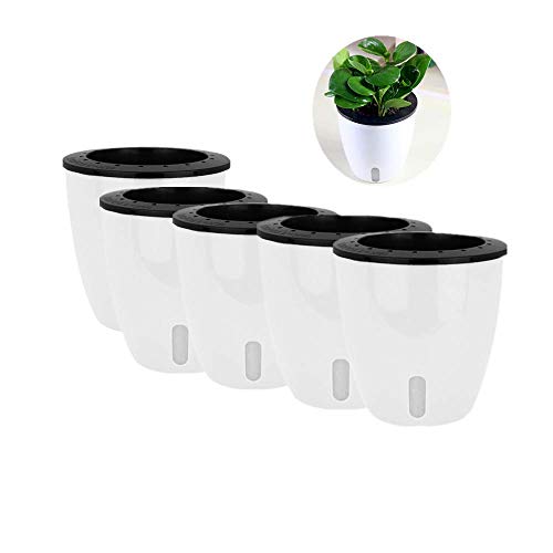 5 Stück Lazy Blumentöpfe Wasserpflanzen Topf/Selbstbewässernder Übertopf mit sichtbarem Wasserstand, Wurzelpflege, Setzlinge, Anzuchttopf, Pflanzentopf, Fenster, Balkondekoration (weiß-5) von Leoyoubei