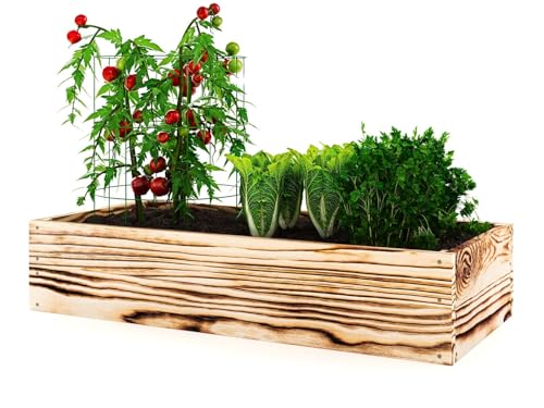 Lermowoood Hochbeet aus Holz 100x100x20 cm Geflammt – Pflanzkasten für Gemüse & Kräuter – mit Agrovließ – steckbar & stapelbar- Aussenbereich ideal für Garten, Balkon & Terrasse von Lermowood