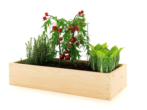 Lermowoood Hochbeet aus Holz 40x40x20 cm Natur – Pflanzkasten für Gemüse & Kräuter – mit Agrovließ – steckbar & stapelbar- Aussenbereich ideal für Garten, Balkon & Terrasse Lermowoood Hochbeet aus Holz 40x40x20 cm Natur – Pflanzkasten für Gemüse & Kräuter – mit Agrovließ – steckbar & stapelbar- Aussenbereich ideal für Garten, Balkon & Terrasse von Lermowood