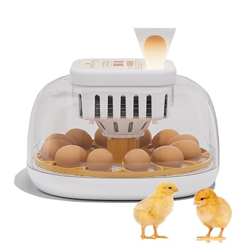 Brutautomat Vollautomatisch, Inkubator Hühner mit 360° Automatischem Eierdrehen Inkubator für 12 Eier Brutmaschine Vollautomatisch, Anzeige von Temperatur Luftfeuchtigkeit, für Hühnerstall, Wachtel Brutautomat Vollautomatisch, Inkubator Hühner mit 360° Automatischem Eierdrehen Inkubator für 12 Eier Brutmaschine Vollautomatisch, Anzeige von Temperatur Luftfeuchtigkeit, für Hühnerstall, Wachtel von Les-Theresa