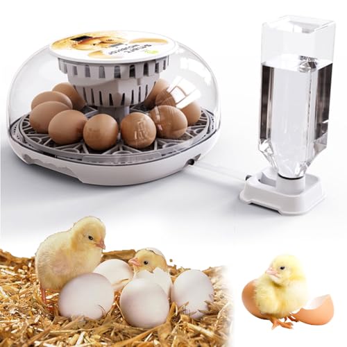 Brutmaschine Vollautomatisch, Brutautomat Vollautomatisch Inkubator Hühner für 12 Eier mit Temperaturregelung Brutapparat Vollautomatisch Eier Inkubator Brutautomat, für Hühner, Wachteln, Hühnerstall Brutmaschine Vollautomatisch, Brutautomat Vollautomatisch Inkubator Hühner für 12 Eier mit Temperaturregelung Brutapparat Vollautomatisch Eier Inkubator Brutautomat, für Hühner, Wachteln, Hühnerstall von Les-Theresa