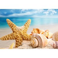 Seestern Laminiertes Tischset Am Strand von LesSetsDeMarion