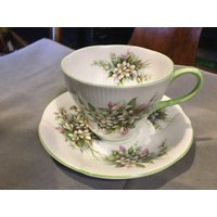 Royal Albert Blossom Time Series "Orangenblüte" Teetasse Mit Untertasse." Royal Albert Blossom Time Series "Orangenblüte" Teetasse Mit Untertasse." von LeslievilleFinds