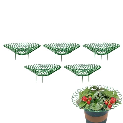 Lesunbak 10 Stück Erdbeerstützen Für Erdbeeren, Erdbeeranbaugestelle, Erdbeerpflanze Unterstützt, Mehrzweck-Pflanzenstützen, Festes Gartenstützgestell Für Balkon-Topfpflanzen S, 5 Sätze von Lesunbak