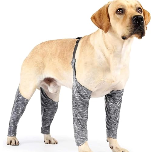 Lesunbak Hundestiefel-Leggings, Hundebein-Leckmanschette - Hundehosen und -ärmel gegen Lecken - Verstellbare Stützbandage für Hunde, Gelenkbandage, Bandagen gegen das Lecken von Wunden an den Beinen Lesunbak Hundestiefel-Leggings, Hundebein-Leckmanschette - Hundehosen und -ärmel gegen Lecken - Verstellbare Stützbandage für Hunde, Gelenkbandage, Bandagen gegen das Lecken von Wunden an den Beinen von Lesunbak