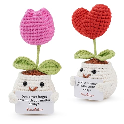 Häkelkit für Anfänger, Herz -Tulip -Häkelkit, Amigurumi Starter Set komplett Amigurumi Starter Set mit Video -Tutorials Kindergeschenk von LetCart